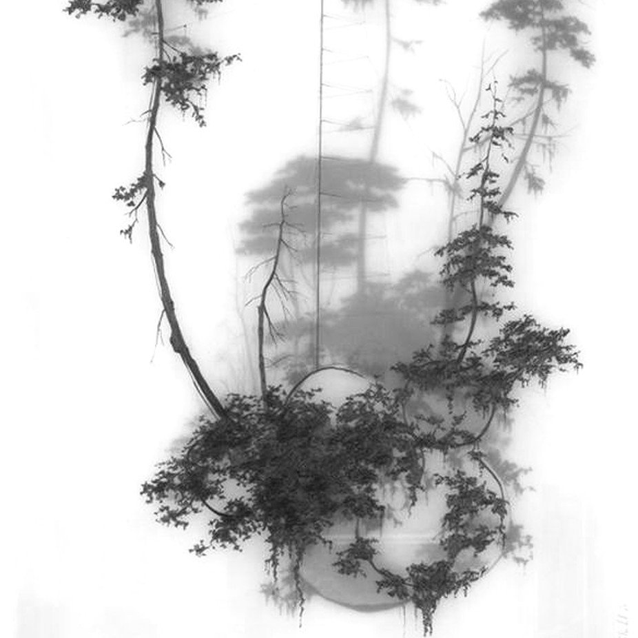 filosofía para la vida icon