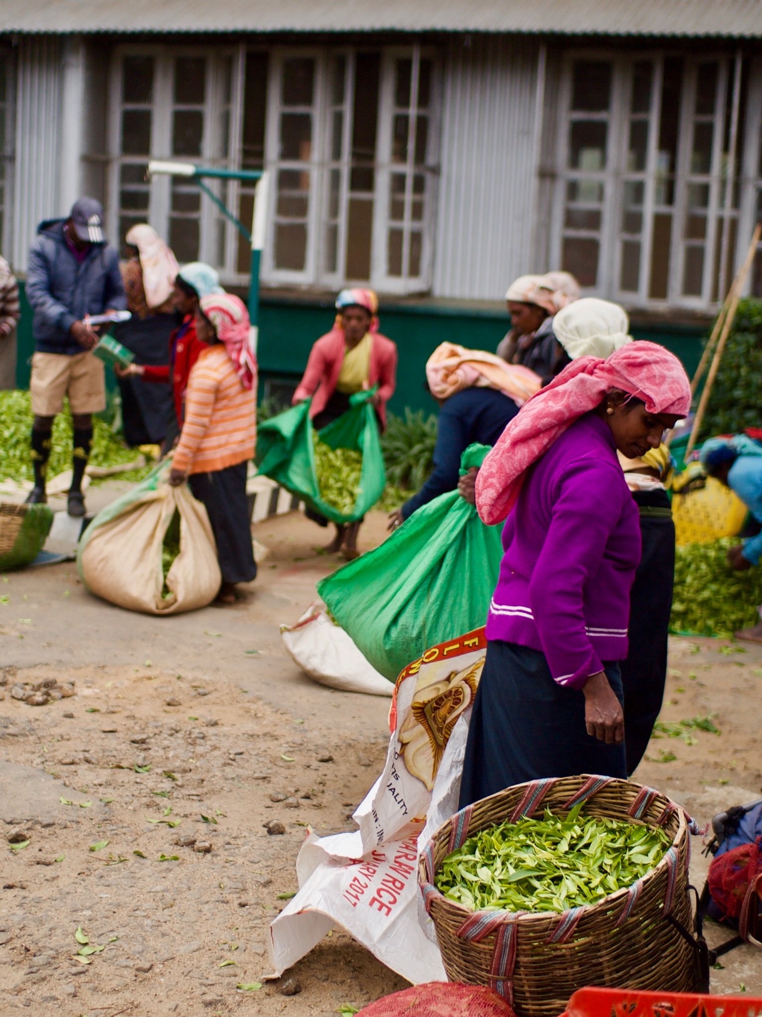 Antropología y Sociología